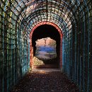 Platz 10 Klaus Seitz